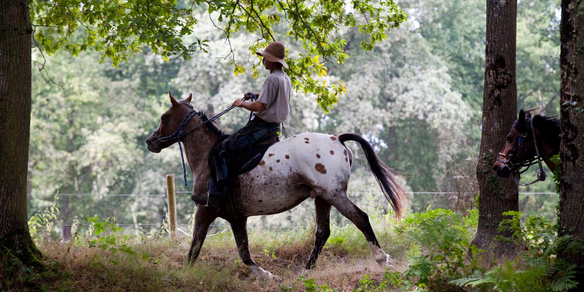 Randonn Es Equestres Office De Tourisme Vall E De La Sarthe