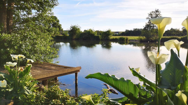 Sur les bords d'eau