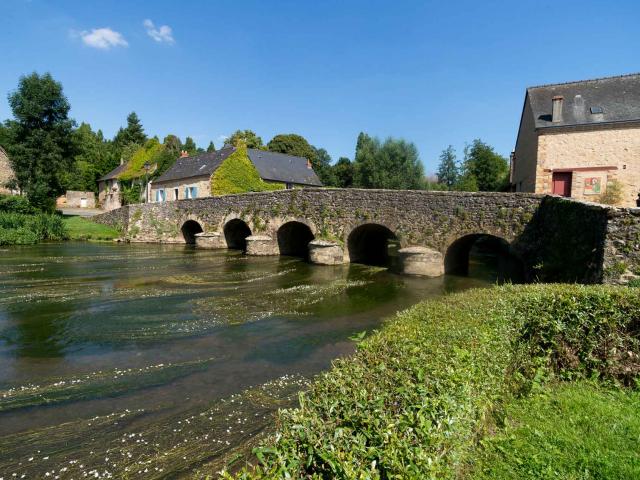 asnieres-sur-vegre-pont-medieval.jpg