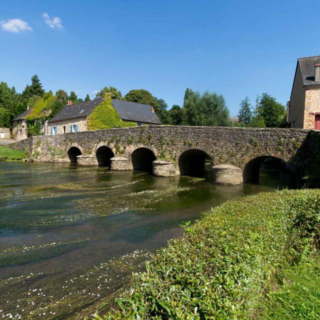 asnieres-sur-vegre-pont-medieval.jpg